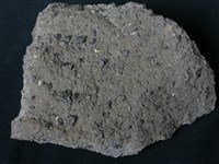 藏品(輝石安山岩)的圖片