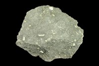 藏品(玄武岩)的圖片