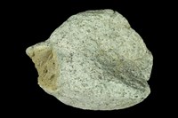 藏品(安山岩)的圖片