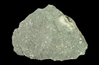 藏品(玄武岩)的圖片