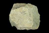 藏品(輝石安山岩)的圖片