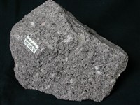 藏品(黑雲母角閃石安山岩)的圖片