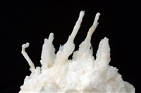 藏品(霰石)的圖片