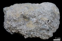 藏品(砂岩)的圖片