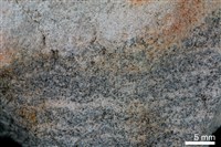 藏品(砂岩)的圖片