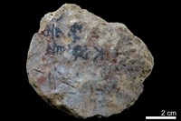 藏品(砂岩)的圖片