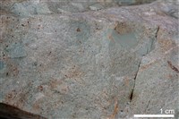 藏品(粉砂岩)的圖片