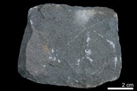 藏品(混濁砂岩)的圖片