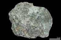 藏品(鐵白雲石滑石片岩)的圖片