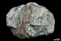 藏品(陽起石絹雲母片岩)的圖片