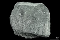 藏品(綠色片岩)的圖片