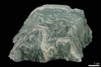 藏品(片岩/燧石)的圖片