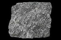 藏品(角閃石片岩)的圖片