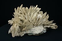 藏品(硬石膏)的圖片