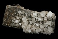 藏品(鹽岩)的圖片