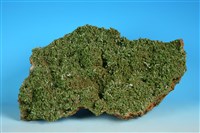 藏品(磷氯鉛礦)的圖片