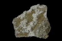 藏品(石膏)的圖片