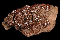 藏品(釩鉛礦)的圖片