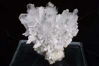 藏品(透石膏)的圖片