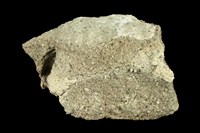 藏品(安山岩)的圖片