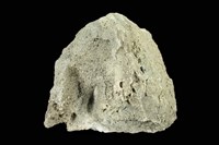 藏品(安山岩)的圖片