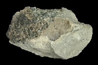 藏品(安山岩)的圖片