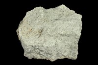 藏品(角閃石安山岩)的圖片