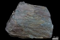 藏品(燧石)的圖片