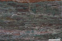 藏品(燧石)的圖片