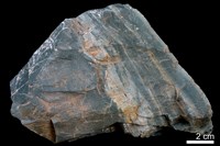 藏品(燧石)的圖片