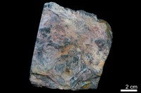 藏品(燧石)的圖片