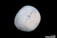 藏品(洞穴珍珠)的圖片