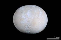 藏品(洞穴珍珠)的圖片