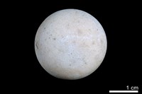 藏品(洞穴珍珠)的圖片