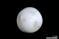 藏品(洞穴珍珠)的圖片