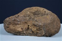 藏品(錳核)的圖片