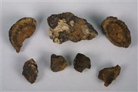 藏品(錳核)的圖片