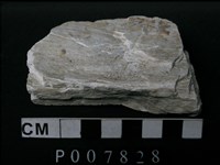 藏品(片岩)的圖片