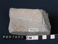 藏品(矽質片岩)的圖片