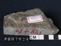 藏品(矽質片岩)的圖片