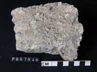 藏品(矽質片岩)的圖片