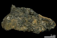 藏品(鈣鐵榴石)的圖片