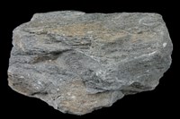 藏品(角閃片岩)的圖片