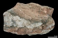 藏品(石榴子石-藍閃石片岩)的圖片