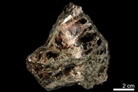 藏品(金雲母)的圖片