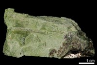 藏品(透輝石)的圖片