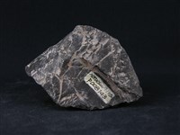 藏品(角頁岩)的圖片