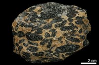 藏品(鉻鐵礦)的圖片