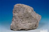 藏品(矽灰石)的圖片