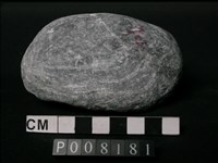 藏品(大理岩)的圖片